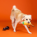 PetShop by Fringe Studio “Oh My Gourd!” 2-Piece Plush Dog Toy Set-5