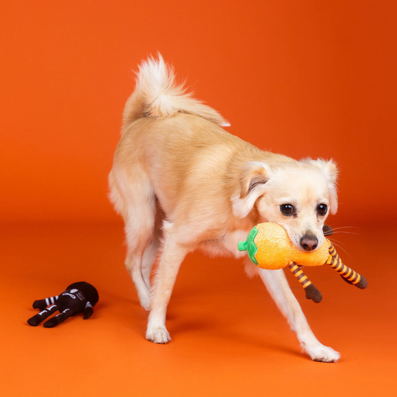 PetShop by Fringe Studio “Oh My Gourd!” 2-Piece Plush Dog Toy Set