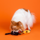 PetShop by Fringe Studio “Oh My Gourd!” 2-Piece Plush Dog Toy Set-7