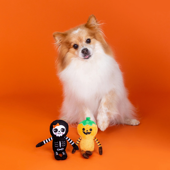 PetShop by Fringe Studio “Oh My Gourd!” 2-Piece Plush Dog Toy Set