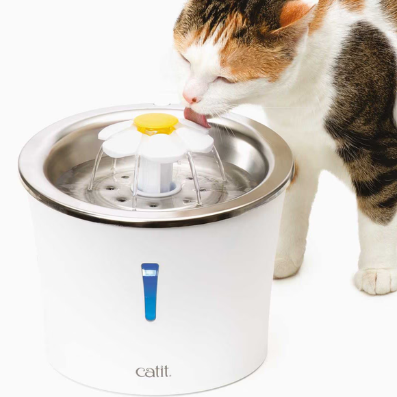 Catit LED Stainless Steel Top Flower Drinking Fountain for Cats