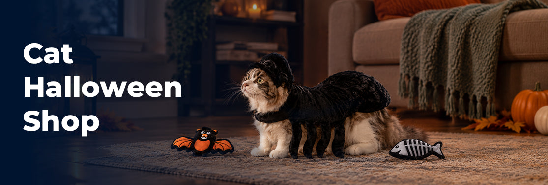 Cat halloween shop square img
