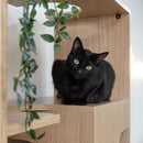 4 Cats & Dogs Clifford Pet Shelf-10