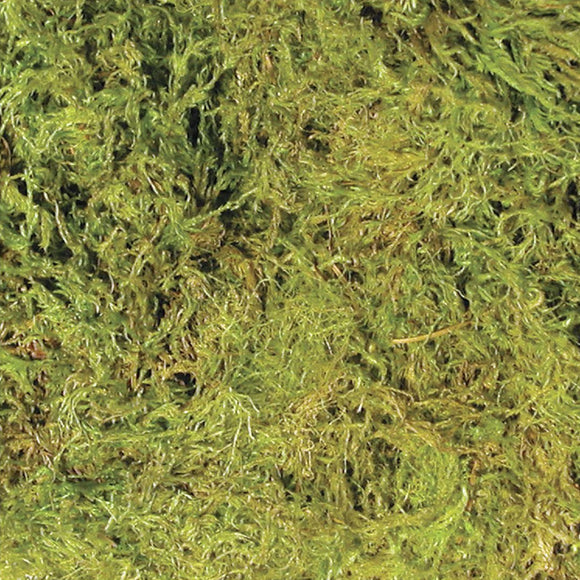 Zoo Med Terrarium Moss Reptile Substrate