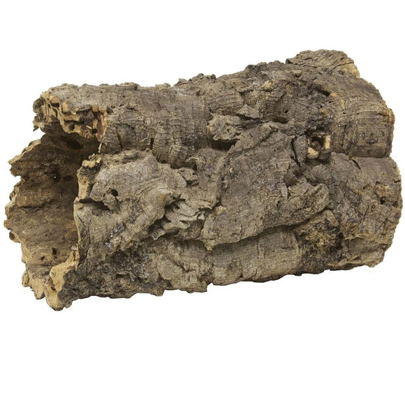 Rustic wooden log on a white background