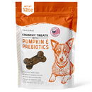 Chew + Heal Pumpkin & Prebiotic Fiber Crunchy Biscuit Dog Treats, 12-oz