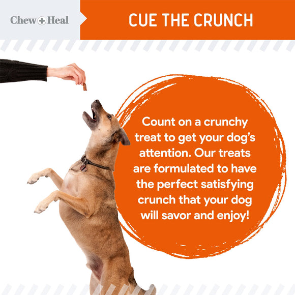 Dog reaching up to a hand holding a treat with text about crunchy treats on a white background.
