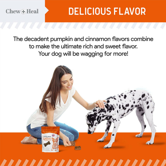 Woman petting a Dalmatian dog with a bag of dog treats on an orange background, featuring text about delicious flavors.