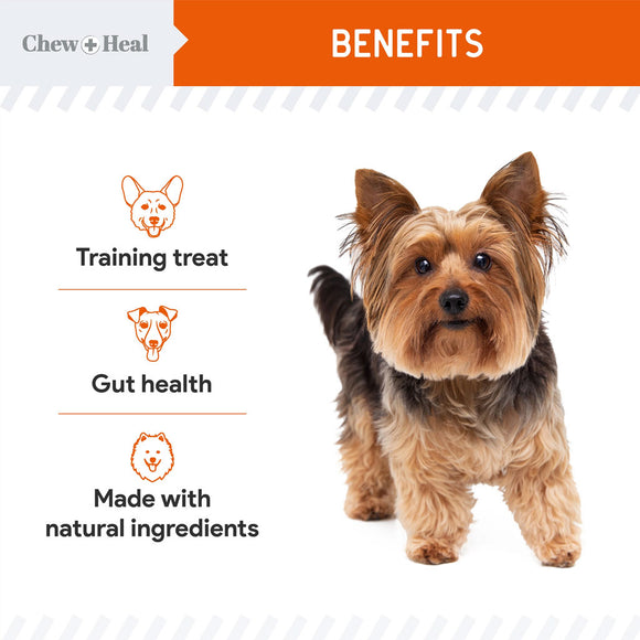 Dog standing next to benefits text on a white background with 'Chew & Heal' branding.
