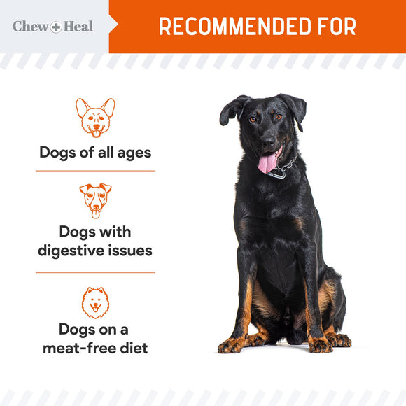 Dog sitting next to text indicating the product is recommended for dogs of all ages, with digestive issues, and on a meat-free diet.