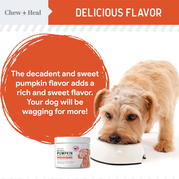 Dog eating from a bowl with pumpkin-flavored pet food product, featuring text about the flavor.