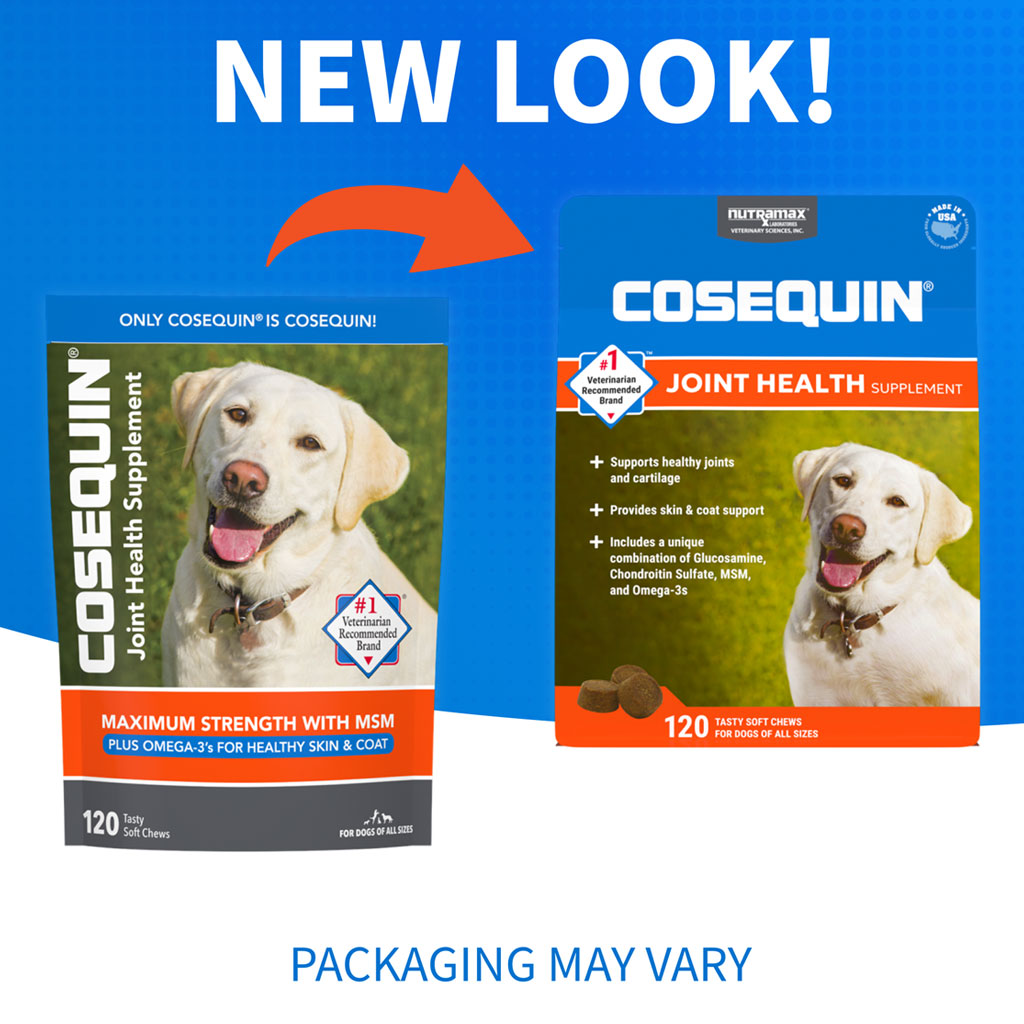 Cosequin® Maximum Strength With MSM PLUS Omega-3s 120ct new packaging