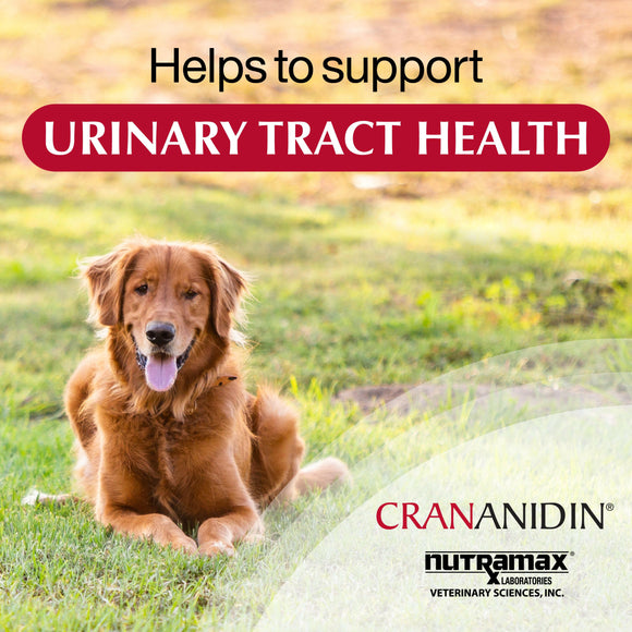 nutramax crananidin helps to support urinary tract health