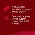 Crananidin® for Dogs (75 chewable tablets)