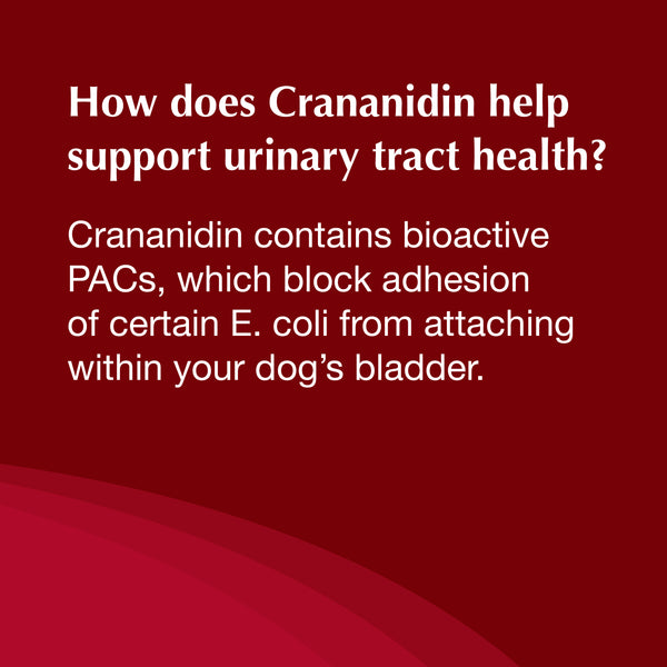 Crananidin® for Dogs (75 chewable tablets)