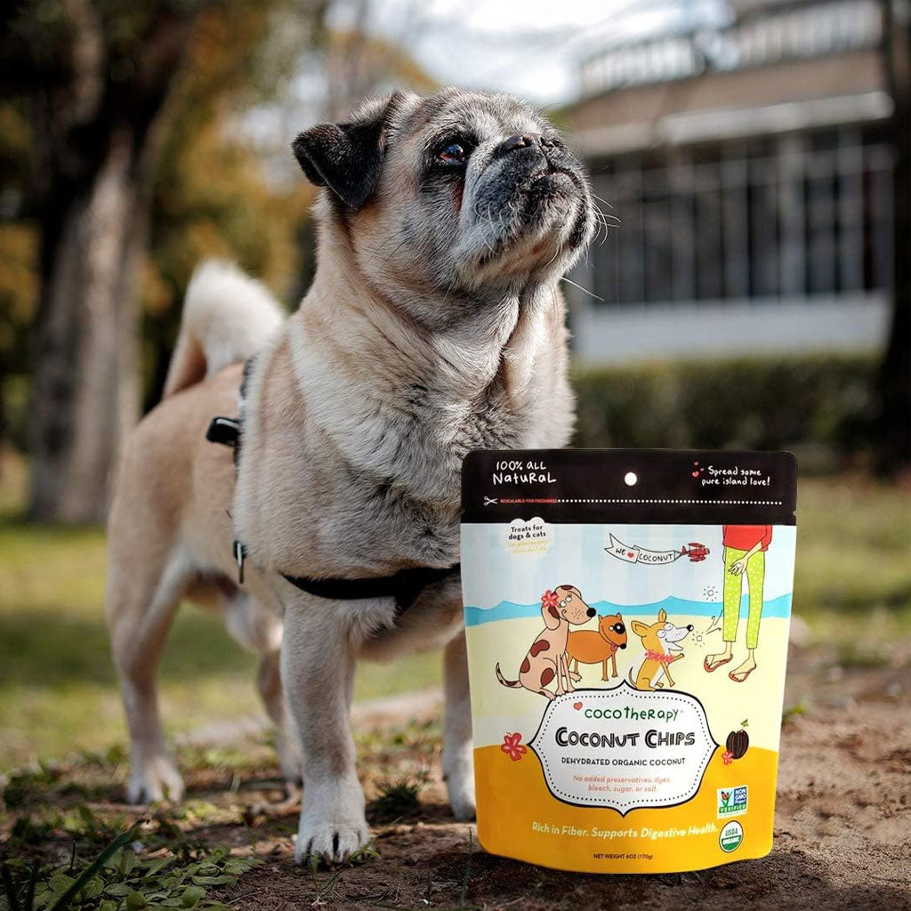 Cocotherapy Coconut Chips Raw Coconut for Dogs, Cats & Birds