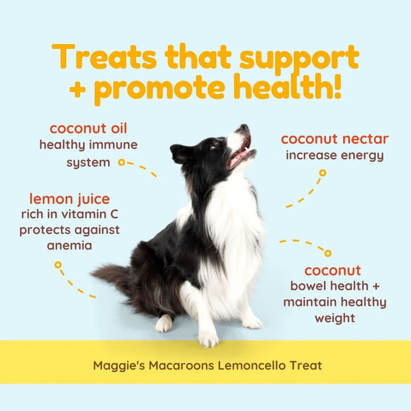 Dog sitting on a light blue background with text about health benefits of treats, featuring coconut oil, lemon juice, and coconut nectar.