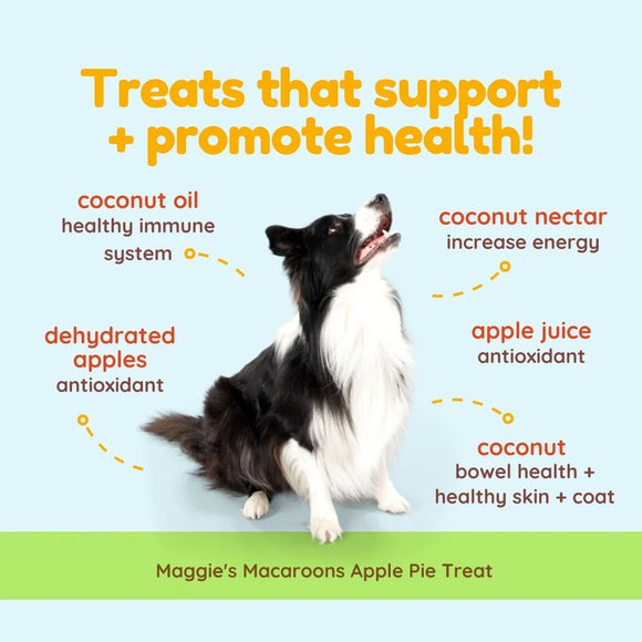 Dog sitting on a light blue background with text about health benefits of treats, featuring Maggie's Macaroons Apple Pie Treat.