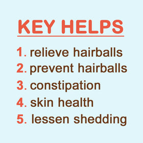 List of key helps for pet care on a light blue background