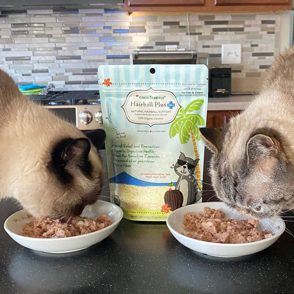 Two cats eating from bowls with a package of Coochie's Hairball Plus cat food in the kitchen.