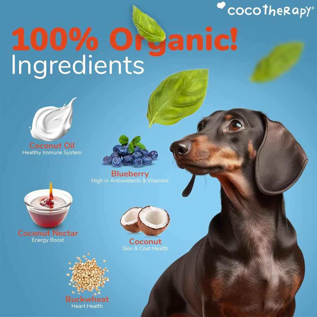 Cocotherapy Coco-Charms Training Treats Blueverry Cobbler for Dogs & Puppies