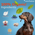 Cocotherapy Coco-Charms Training Treats Blueverry Cobbler for Dogs & Puppies