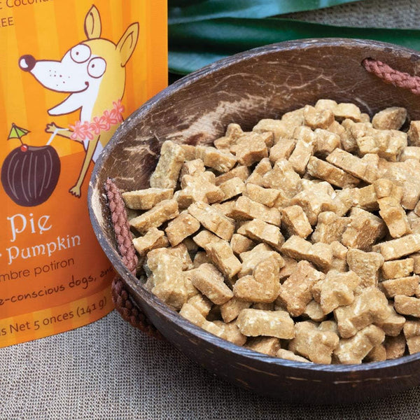 Cocotherapy Coco-Charms Training Treats Pumpkin Pie for Dogs & Puppies