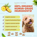 Dog food product with organic ingredients listed and a smiling dog on a light blue background.