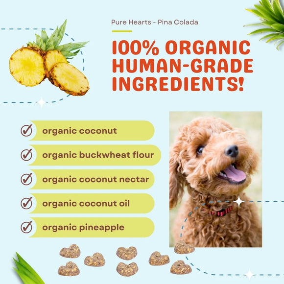 Dog food product with organic ingredients listed and a smiling dog on a light blue background.