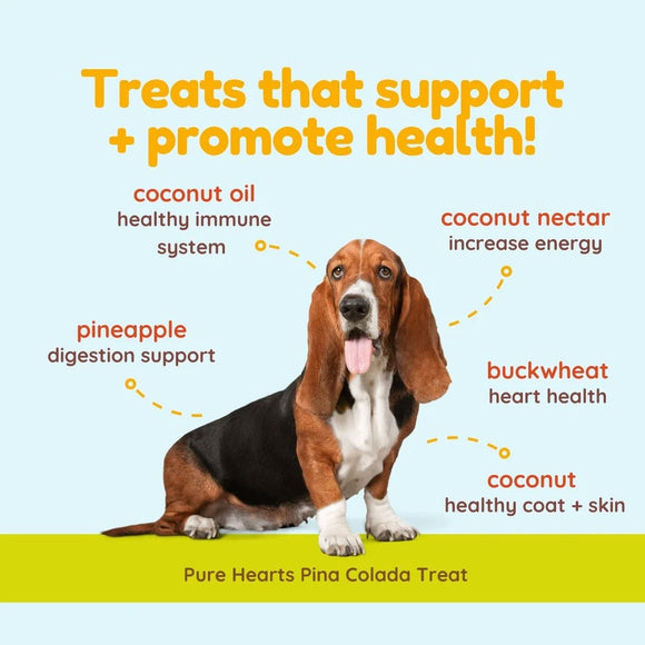 Dog with health benefits listed on a blue and yellow background
