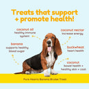 Dog sitting on a yellow background with text about health benefits of treats