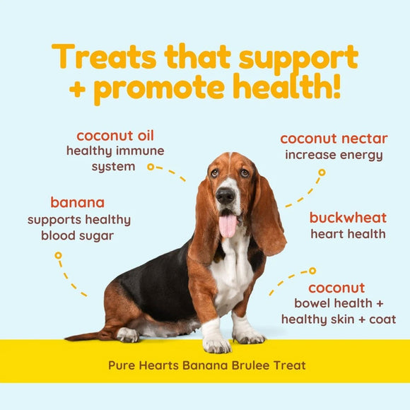 Dog sitting on a yellow background with text about health benefits of treats