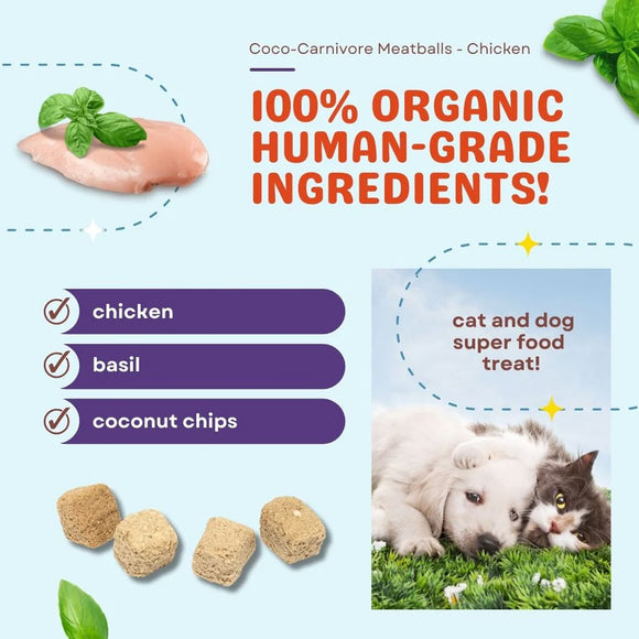 Advertisement for Coco-Carnivore Meatballs with ingredients and images of a cat and dog.