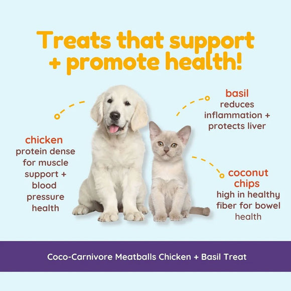 Dog and cat sitting together with text about treats promoting health on a light blue background