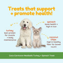 Dog and cat sitting together with text about treats promoting health, featuring ingredients like turkey and spinach.