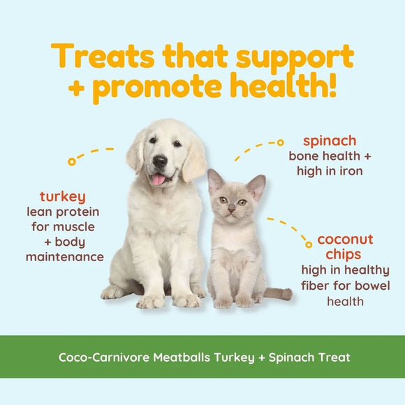 Dog and cat sitting together with text about treats promoting health, featuring ingredients like turkey and spinach.