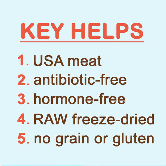 List of key helps for USA meat products on a light blue background