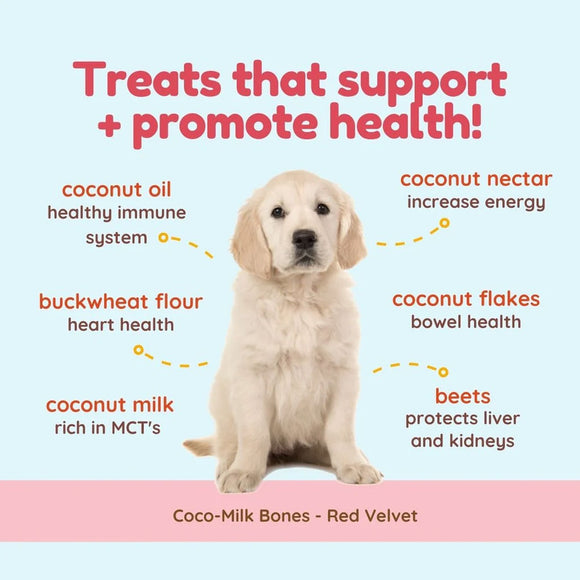 Dog with health benefits listed on a light blue and pink background