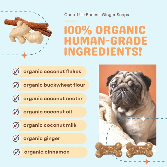 Dog treats with organic ingredients list and a pug photo on a blue background