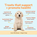 Dog with health benefits listed on a light blue background