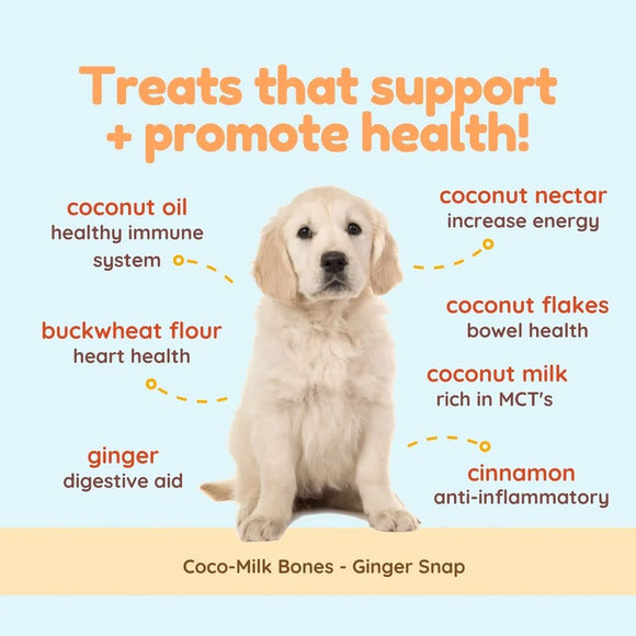 Dog with health benefits listed on a light blue background