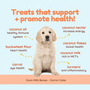 Dog with health benefits listed on a light blue background