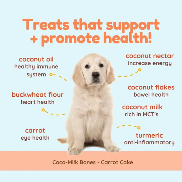 Dog with health benefits listed on a light blue background