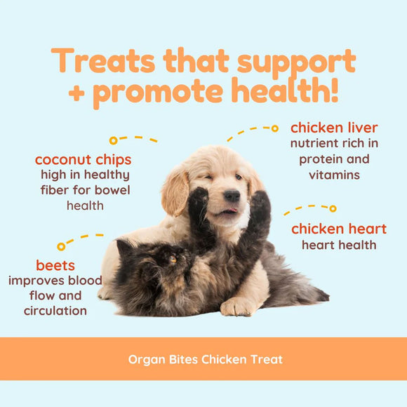 Two puppies with text about chicken treats for health benefits on a light blue background.