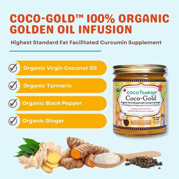 Coco-Gold 100% Organic Golden Oil Infusion with ingredients and packaging on a light blue background