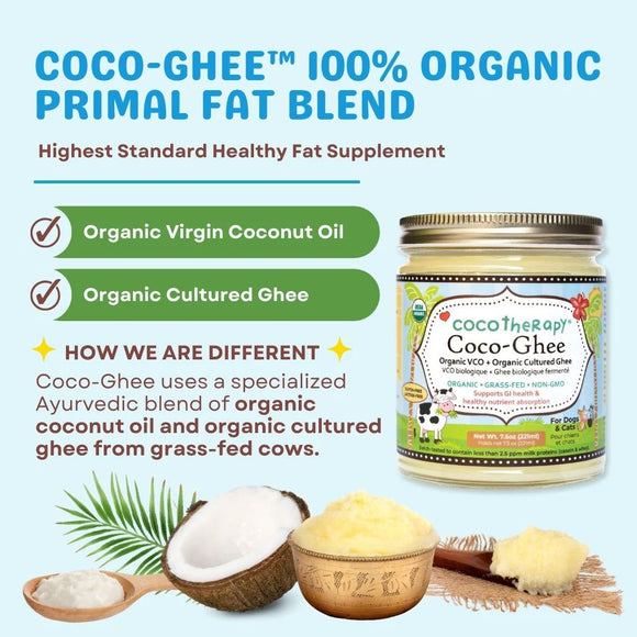 Coco-Ghee organic primal fat blend with coconut and ghee on a blue background