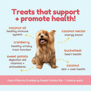 Dog with health benefits listed on a light blue background