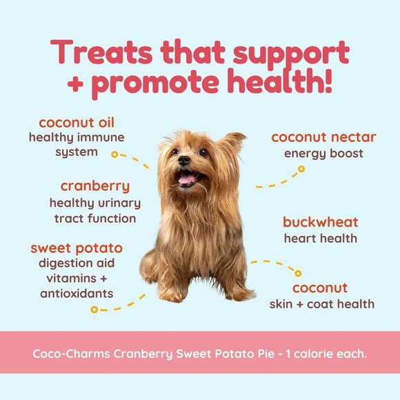 Dog with health benefits listed on a light blue background
