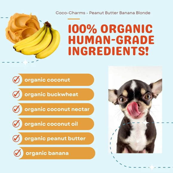 Product packaging for Coco-Charms Peanut Butter Banana Blonde with organic ingredients listed and a dog licking its lips.