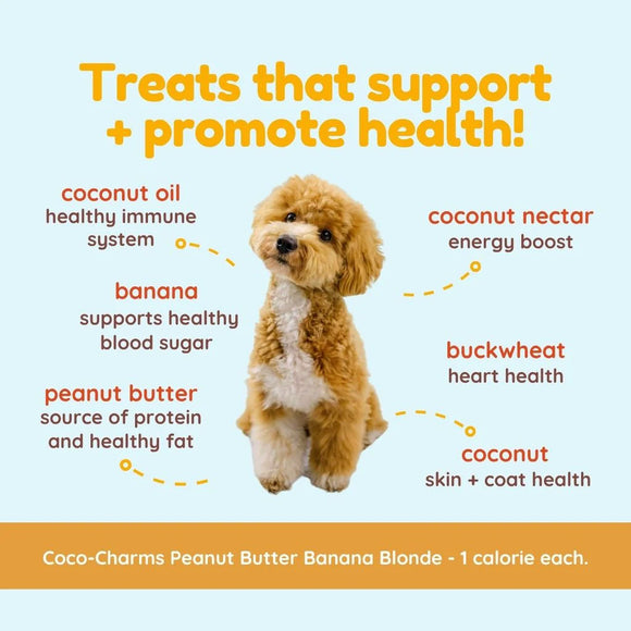 Dog with health benefits listed on a light blue background